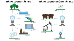 So sánh về năng lượng tái tạo và không tái tạo